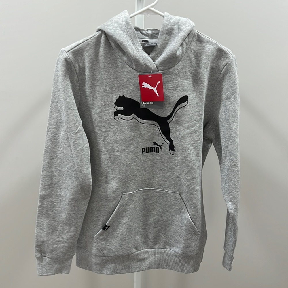Puma power logo Hoodie